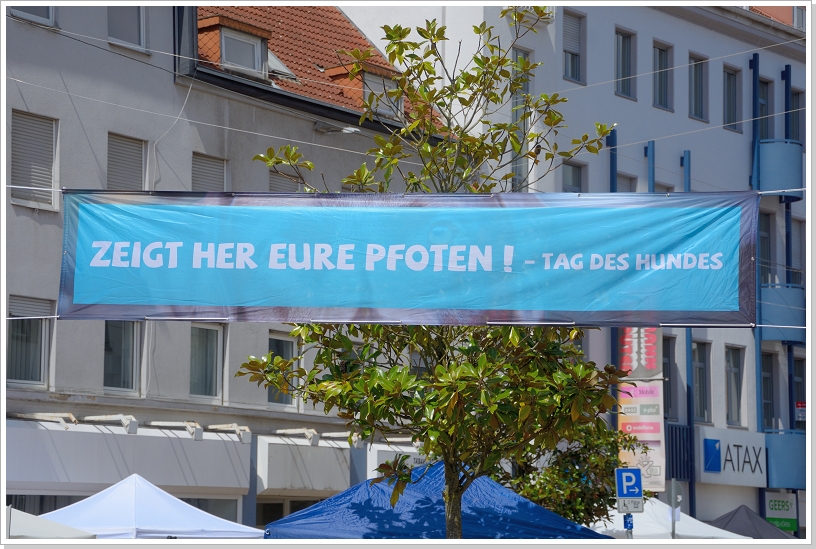 0001_TDH19 (1).jpg
